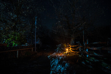 Old house with a Ghost in the forest at misty night or Night scene with House under moon. Old mystic building in dead tree forest.