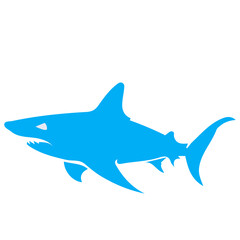shark animal vector, logo, vector illustration, abstract, art, 3d rendering, silhouette