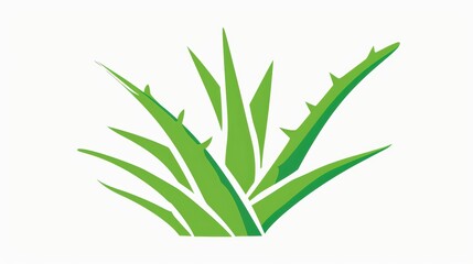 Fototapeta premium A simple illustration of aloe vera, with only one in the center of the image, symbolizing the art. Dynamic on a clean white background.