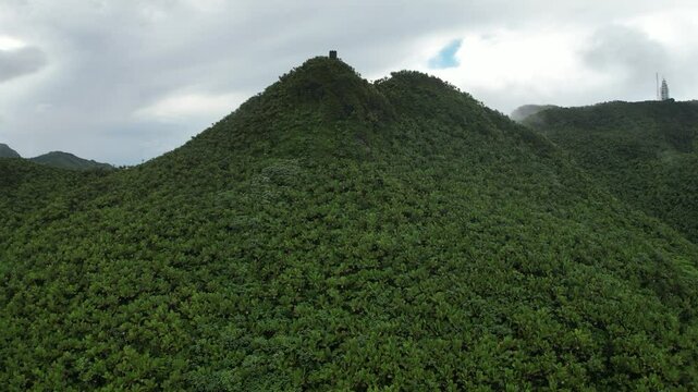 Mystical Aerial View of an Ancient Tower in El Yunque National Forest, Puerto Rico