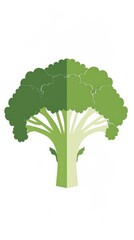 A simple illustration of broccoli, with only one broccoli in the center, is a symbol of art. Dynamic on a clean white background.