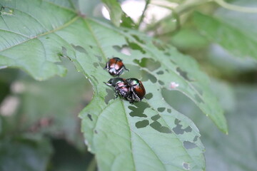 A lot happening in the bug world today!