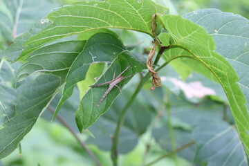 A lot happening in the bug world today!