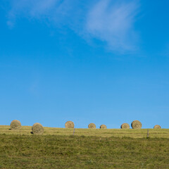 bottes de paille rondes sur une prairie sous un ciel bleu d'été