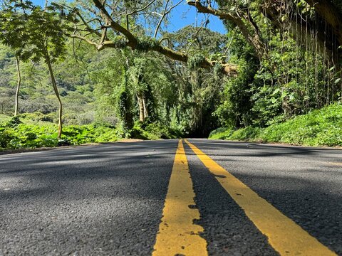 Stra&szlig;e auf der Insel Hawaii (Symbolbild- Froschperspektive)
