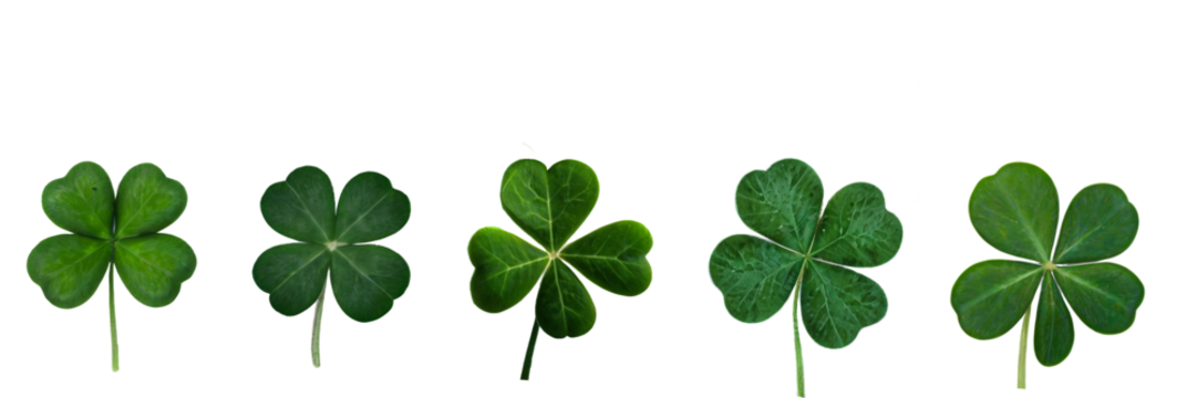 Collection set of green lucky clover and shamrock isolated on transparent background - Powered by Adobe