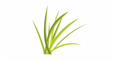 Obraz premium A simple illustration of lemon grass, with only one in the center of the image, is a symbol of art. Dynamic on a clean white background.