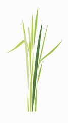 Obraz premium A simple illustration of lemon grass, with only one in the center of the image, is a symbol of art. Dynamic on a clean white background.