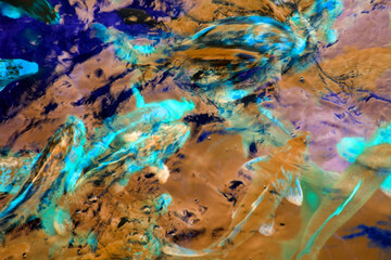 Koi fish in the pond. Beautiful colorful fishes in the pond.