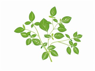 Obraz premium A simple illustration of oregano leaves, with only one in the center, is a symbol of art. Dynamic on a clean white background.