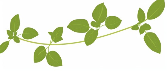 Obraz premium A simple illustration of oregano leaves, with only one in the center, is a symbol of art. Dynamic on a clean white background.