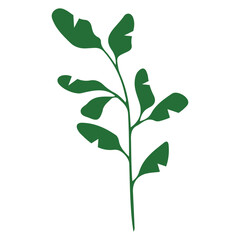 green leaf vector, logo, vector illustration, abstract, art, 3d rendering, silhouette