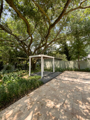 walkway in the park with a stage in front of a huge live oak tree basking in sunlight