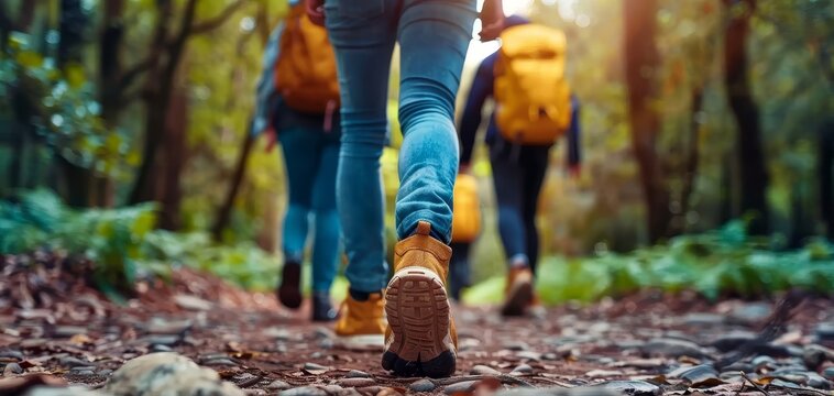 Hiking Groups Regular hiking trips, nature and fitness combined, concept