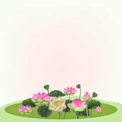 Lotus Background - A tranquil image of a blooming lotus flower in a still pond, symbolizing purity, beauty, and enlightenment. Perfect for backgrounds, wallpapers, and design elements.