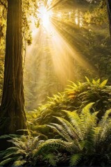Obraz premium Forest Symphony: Sunlight Plays on Ferns as Towering Trees Stand Guard. Sunlight Dances on a Forest Floor Cloaked in Emerald Light. generative AI