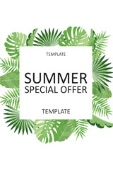 Summer special offer with tropical green leaves border in vector illustration, ideal for seasonal promotions. vector banner