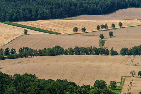 Aerial view of countryside with farmland, green fields, and trees, coexistence with nature
