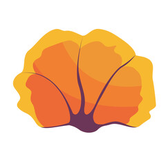 underwater colored coral reef aquatic