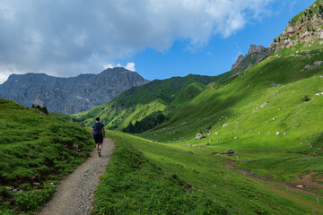 Fototapeta premium Alpe di Siusi, Dolomites, Italy 