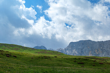 Fototapeta premium Seiser Alm (Italian: Alpe di Siusi, Ladin: Mont Sëuc) is a Dolomite plateau and the largest high-elevation Alpine meadow in Europe. Located in Italy's South Tyrol province in the Dolomites
