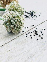 Dried onion flower seeds on the table.
