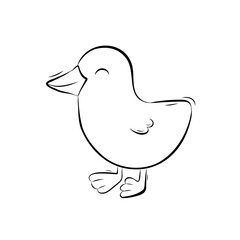 Sketch duckling. Simple vector illustration in doodle style