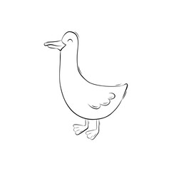 Sketch goose. Simple vector illustration in doodle style