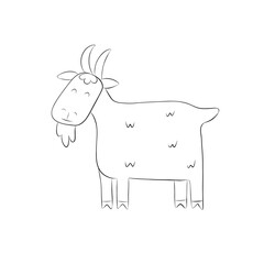 Cute goat sketch. Farm animals. Simple vector illustration in doodle style