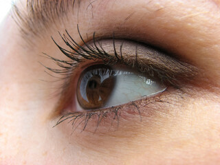 Obraz premium close-up macro photography of the human eye with fine details