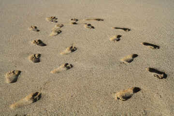 a footprint of a person's foot in the sand on the beach