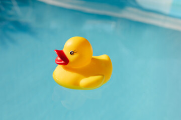 Yellow rubber duck floating alone in a pool