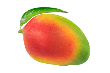 Mango on isolated white background