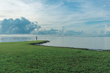 Fototapeta premium Landscape of marshes wetland of Thale Noi in Phatthalung, Thailand.