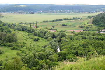 Summer landscape with fields, meadows and trees