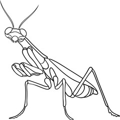 mantis, outline illustration of mantis