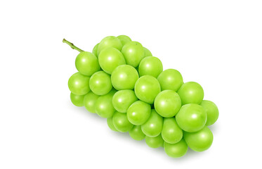 シャインマスカットのイラスト マスカット リアル