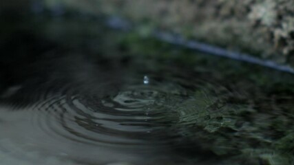 Close-up of water ripple with droplet, 1000 fps slow-motion, serene nature scene, tranquil moment, dynamic water movement, peaceful outdoors, soothing ripple effect