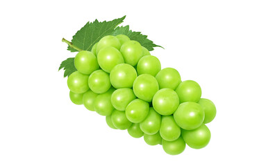 シャインマスカットのイラスト マスカット リアル