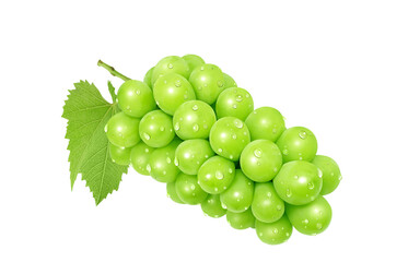 シャインマスカットのイラスト マスカット リアル