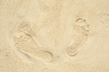 footprint in sand