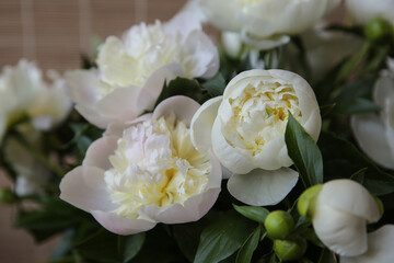Blurred floral background. A bouquet of white peonies.