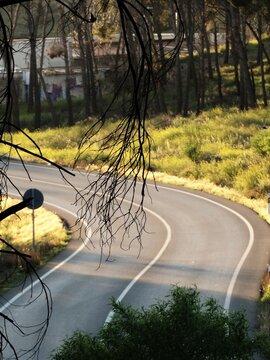 Curva de una carretera una tarde soleada