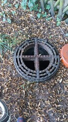 Berliner Gullydeckel 