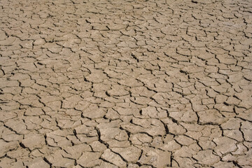 Namibia, the ground cracked by heat.