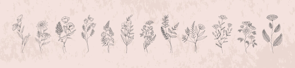 Line flowers. Floral art plants, hand drawn bouquet sketch style with minimal wild branch, boho tattoo leaf silhouette. Garden herbs, natural rustic decorative isolated botanical vector logo