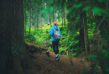 Woman in a blue jacket with backpack is walking on a forest trail. Trees with lush green foliage in summer. Slim girl on the path. Hiking and trekking in Dolomites, Italy. Nature. Travel background