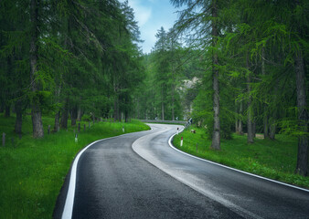 Obraz premium Road in green forest in summer. Dolomites, Italy. Beautiful mountain road, trees with lush foliage, grass, high rocks, blue sky with clouds. Landscape with empty curvy road in the woods. Transport