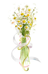 Cute watercolor bouquet of daisies, chamomile with satin ribbons. Hand drawn floral illustration