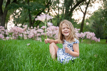Fototapeta premium Girl sitting among the Surprise Lilies, Lycoris